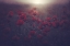 Picture of FLOWERS FOR WOMEN'S DAY