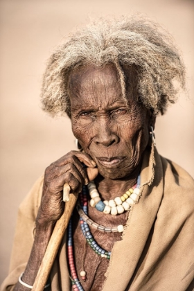 Picture of MATRIARCH OF THE ARBORE