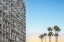 Picture of PALMS AND APARTMENTS