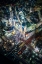 Picture of TOKYO