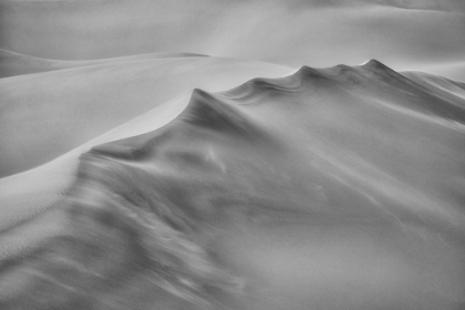 Picture of BLOWING SAND