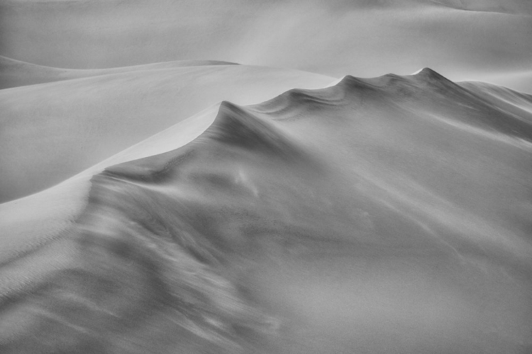 Picture of BLOWING SAND