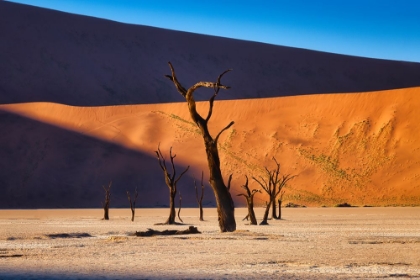 Picture of DEADVLEI