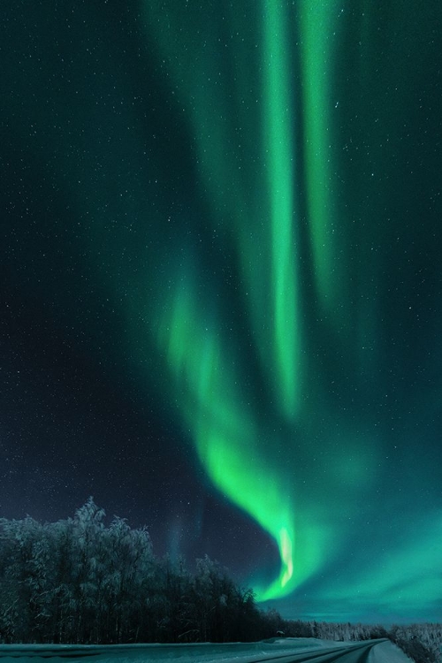 Picture of POLAR LIGHTS