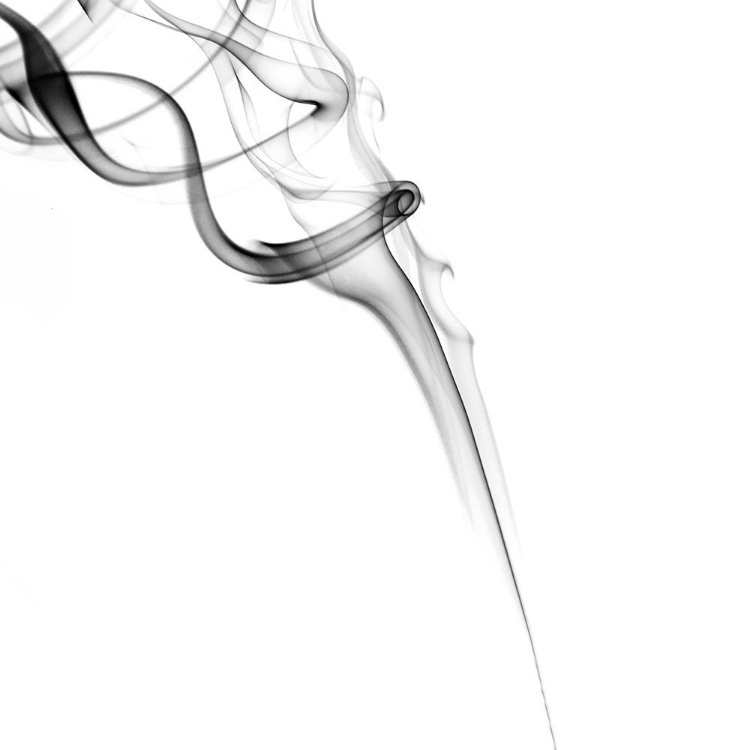 Picture of GELEID NAAR DE TIJD