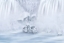 Picture of THE FROZEN ISLANDS UNDER THE WATERFALLS