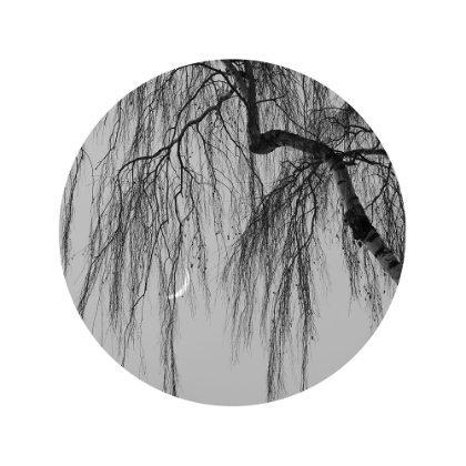 Picture of EARLY SPRING NO.1