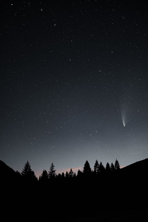 Picture of COMET NEOWISE