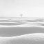 Picture of WAVE