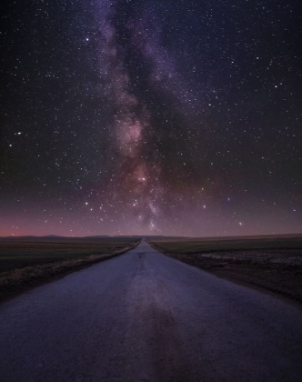 Picture of WAY TO MILKY WAY