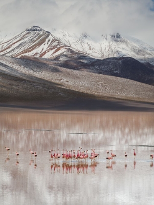 Picture of MOUNTAIN VIEW (BOLIVIA)