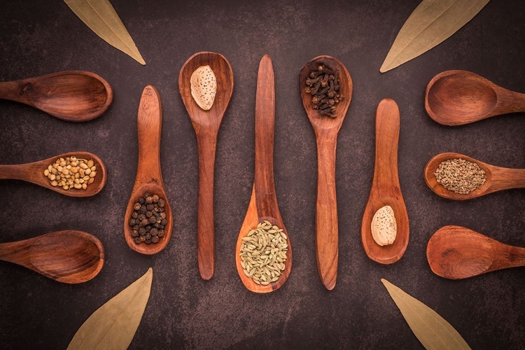 Picture of SPOONS A SPICES