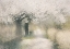 Picture of CHERRY BLOSSOM