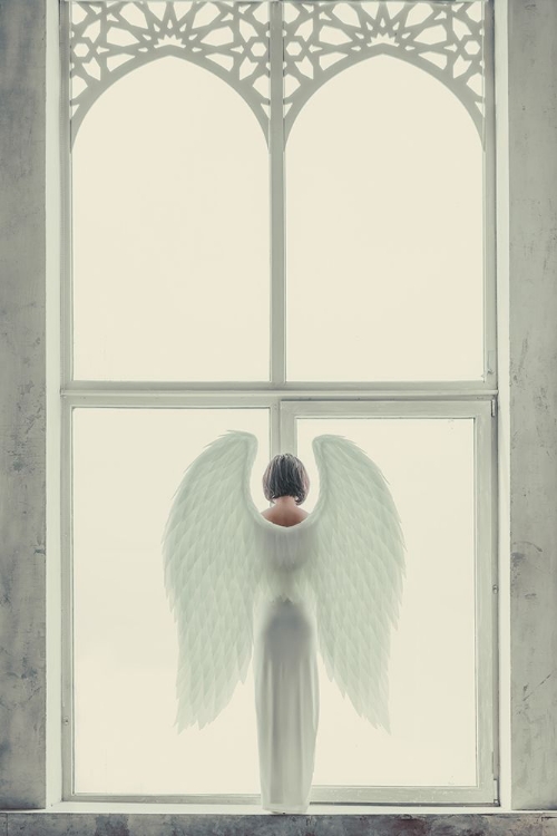 Picture of WINDOWS OF ANGEL