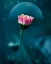 Picture of A FLOWER'S DREAM