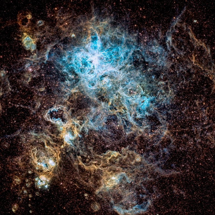 Picture of TARANTULA NEBULA