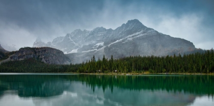 Picture of LAKE O'HARA