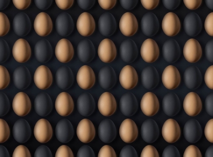 Picture of EGG
