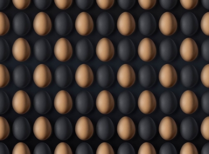 Picture of EGG