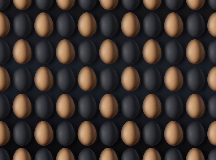 Picture of EGG