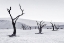 Picture of DEADVLEI