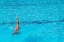 Picture of SYNCHRONISED SWIMMING PRACTICE