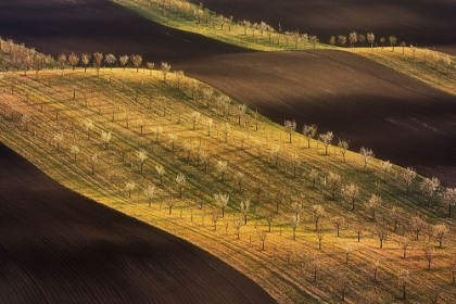 Picture of MORAVIAN TUSCANY WAVES #2