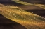 Picture of MORAVIAN TUSCANY WAVES #2
