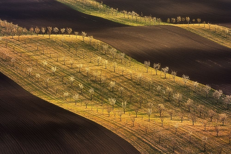 Picture of MORAVIAN TUSCANY WAVES #2