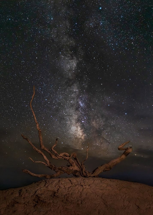 Picture of GOBI DESERT NIGHT