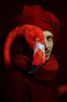 Picture of RED FLAMINGO