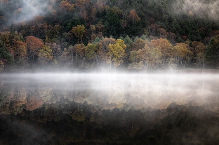 Picture of THE MYSTICAL POND IN THE AUTUMN