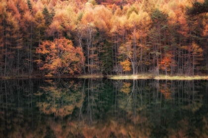 Picture of BEAUTIFUL REFLECTION IN AUTUMN