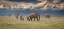 Picture of AMBOSELI WONDERLAND