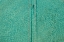 Picture of SWIMMER #2