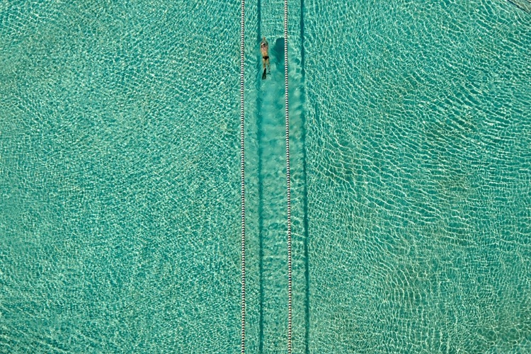 Picture of SWIMMER #2