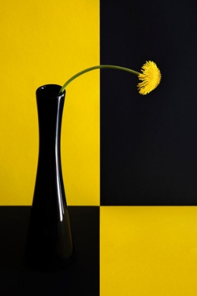 Picture of STILL LIFE WITH DANDELION