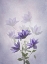 Picture of PURPLE CLEMATIS