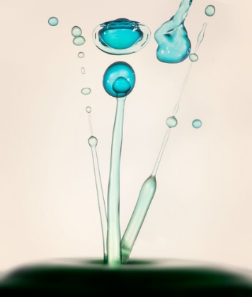 Picture of DROPS OF LIFE