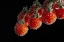 Picture of TOMABLES