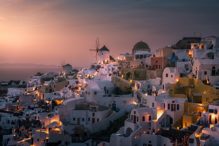 Picture of OIA