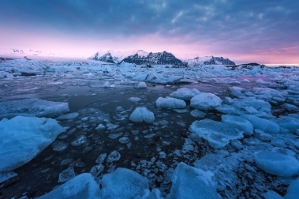 Picture of JOKULSARLON