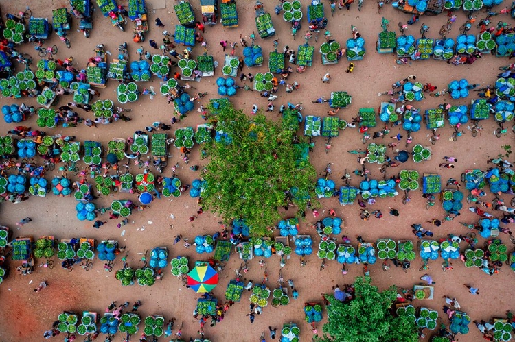 Picture of WHOLESALE MANGO MARKET