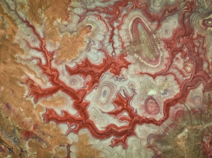 Picture of RED DRAGON OF THE BADLANDS