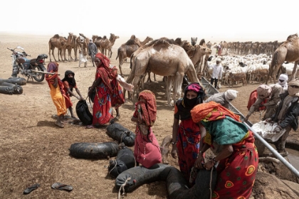 Picture of SO MUCH ACTIVITY AROUND THE WELL AT BORKOU DESERT-TCHAD