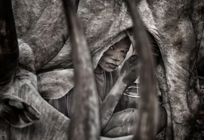 Picture of MUNDARI CHILD MILKING A COW-II - SOUTH SUDAN