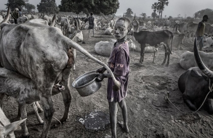 Picture of MUNDARI CHILD FILLING THE CONTAINER WITH COW URINE - SOUTH SUDAN