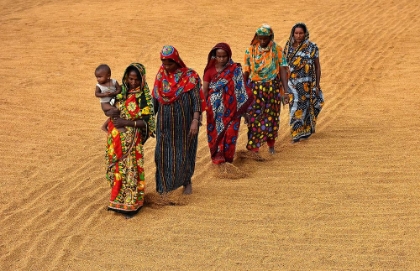 Picture of WOMAN WORKER