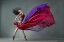 Picture of BALERINA 1