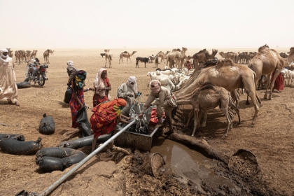 Picture of SO MUCH ACTIVITY AROUND THE WELL AT BORKOU DESERT-TCHAD